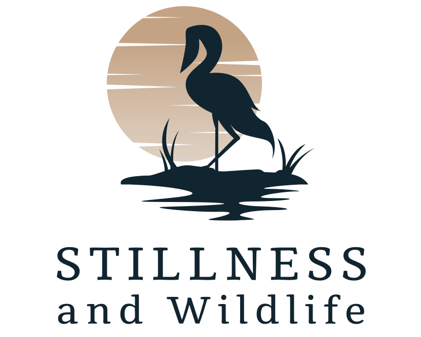 Stillness and Wild